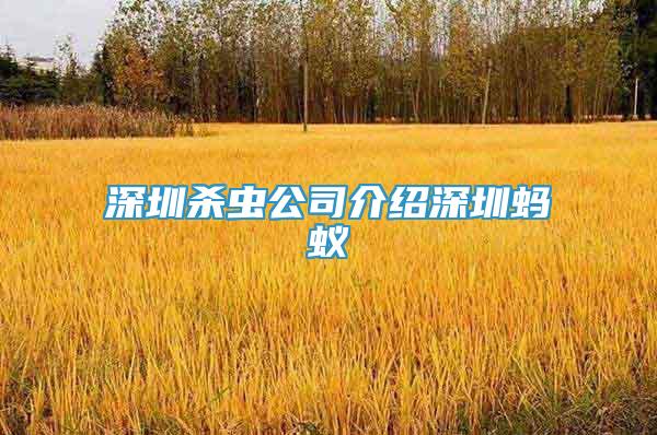 深圳殺蟲公司介紹深圳螞蟻
