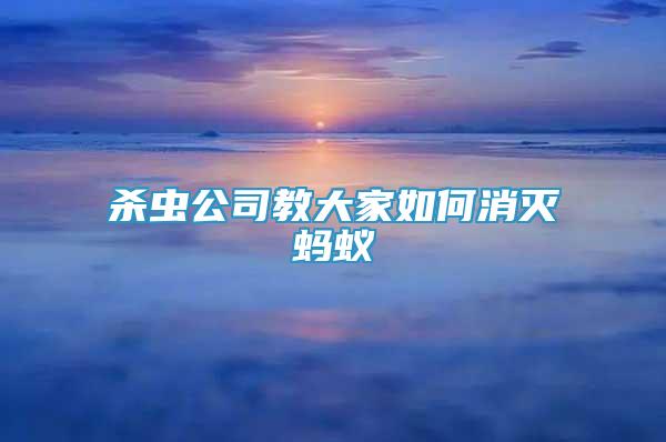 殺蟲公司教大家如何消滅螞蟻