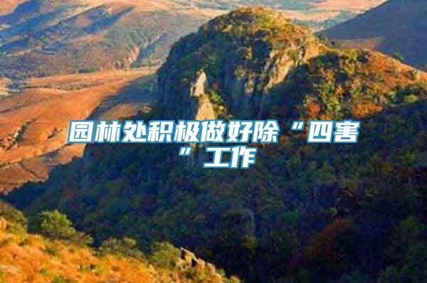 園林處積極做好除“四害”工作