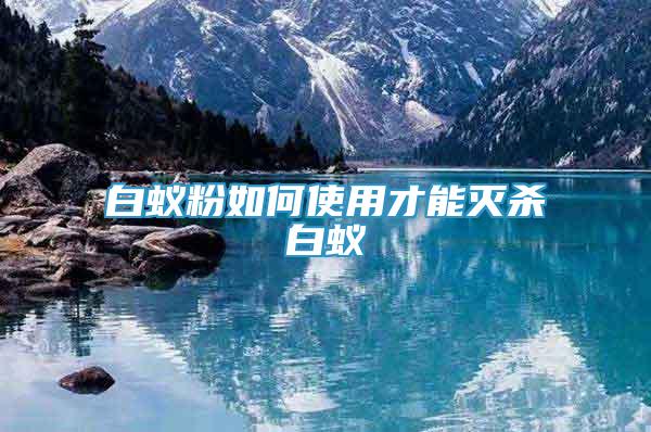 白蟻粉如何使用才能滅殺白蟻