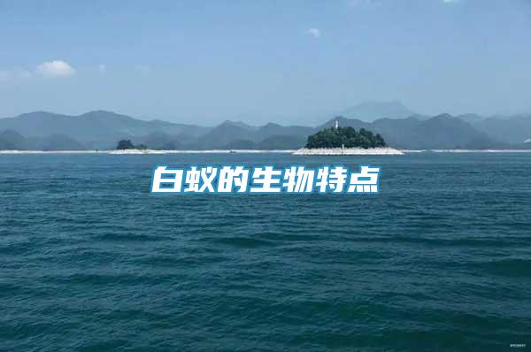 白蟻的生物特點