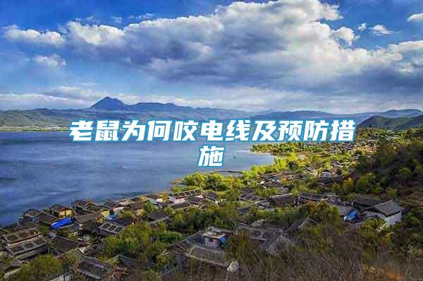 老鼠為何咬電線及預防措施