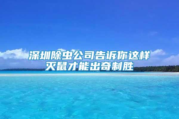 深圳除蟲公司告訴你這樣滅鼠才能出奇制勝