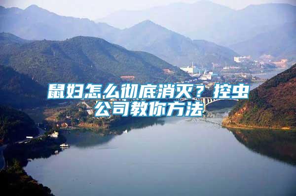 鼠婦怎么徹底消滅？控蟲公司教你方法