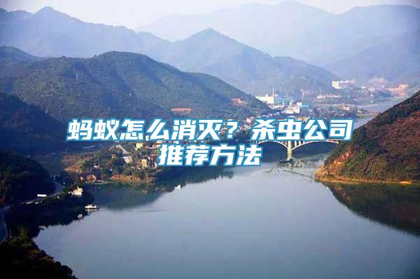 螞蟻怎么消滅？殺蟲公司推薦方法