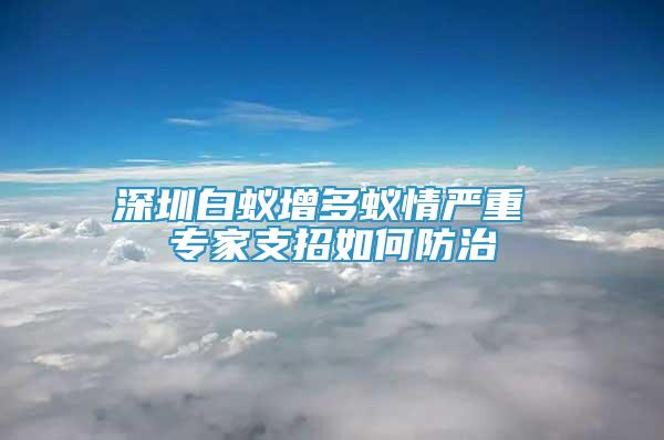 深圳白蟻增多蟻情嚴(yán)重 專家支招如何防治