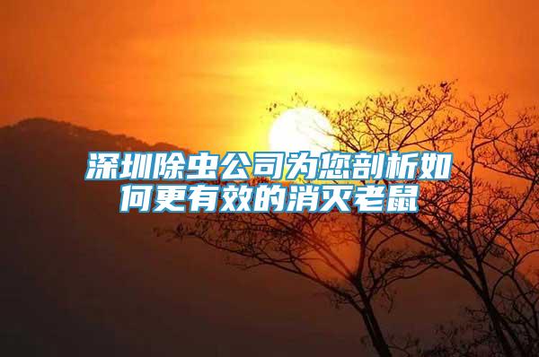 深圳除蟲公司為您剖析如何更有效的消滅老鼠