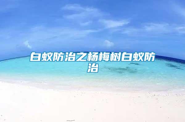 白蟻防治之楊梅樹(shù)白蟻防治