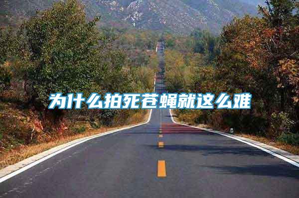 為什么拍死蒼蠅就這么難