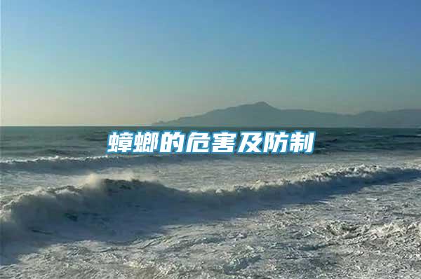 蟑螂的危害及防制