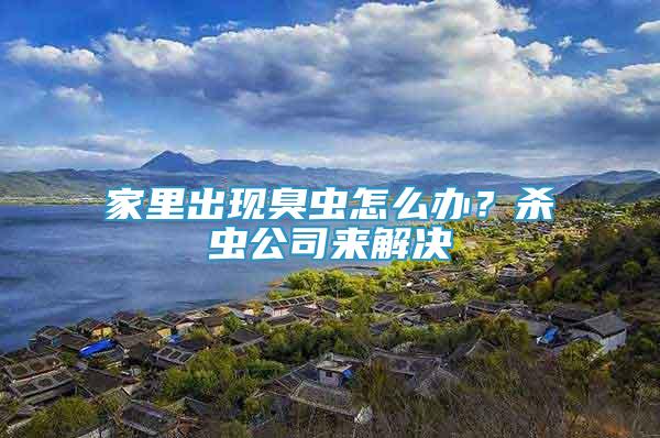 家里出現(xiàn)臭蟲怎么辦？殺蟲公司來解決
