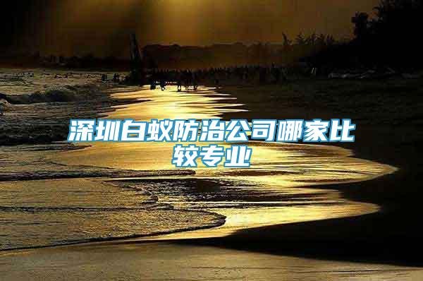 深圳白蟻防治公司哪家比較專業(yè)