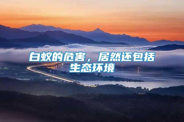 白蟻的危害，居然還包括生態(tài)環(huán)境