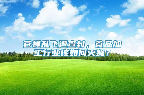 蒼蠅亂飛遭查封，食品加工行業(yè)該如何滅蠅？