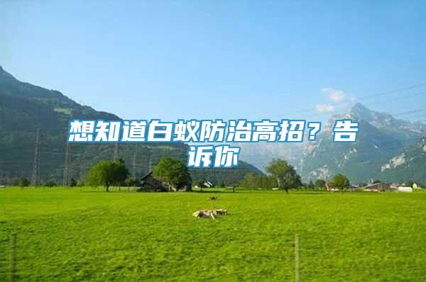 想知道白蟻防治高招？告訴你