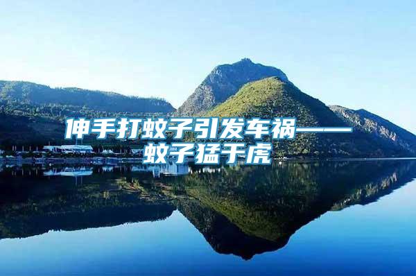 伸手打蚊子引發(fā)車禍——蚊子猛于虎