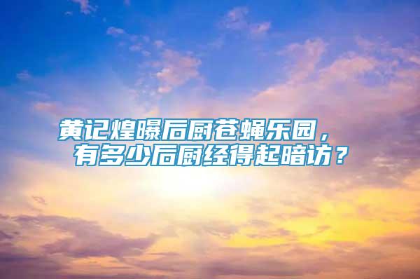 黃記煌曝后廚蒼蠅樂(lè)園， 有多少后廚經(jīng)得起暗訪？