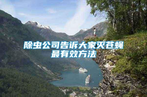 除蟲(chóng)公司告訴大家滅蒼蠅最有效方法