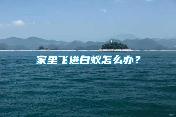 家里飛進白蟻怎么辦？