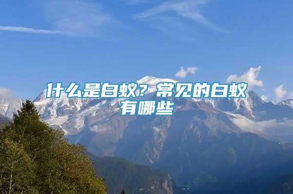 什么是白蟻？常見的白蟻有哪些