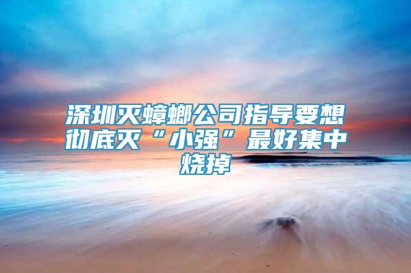 深圳滅蟑螂公司指導(dǎo)要想徹底滅“小強(qiáng)”最好集中燒掉