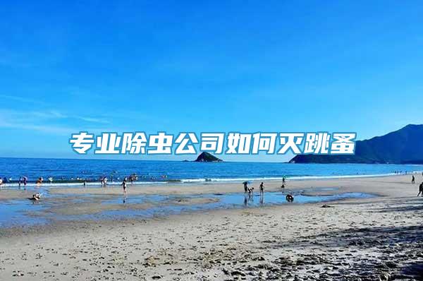 專業(yè)除蟲公司如何滅跳蚤