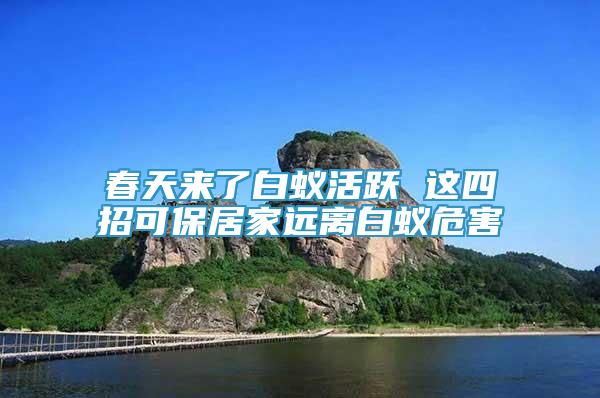 春天來了白蟻活躍 這四招可保居家遠離白蟻危害