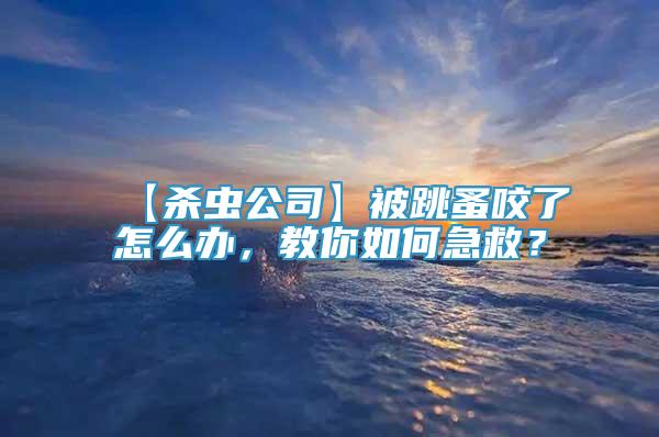 【殺蟲公司】被跳蚤咬了怎么辦，教你如何急救？