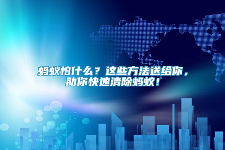 螞蟻怕什么？這些方法送給你，助你快速清除螞蟻！
