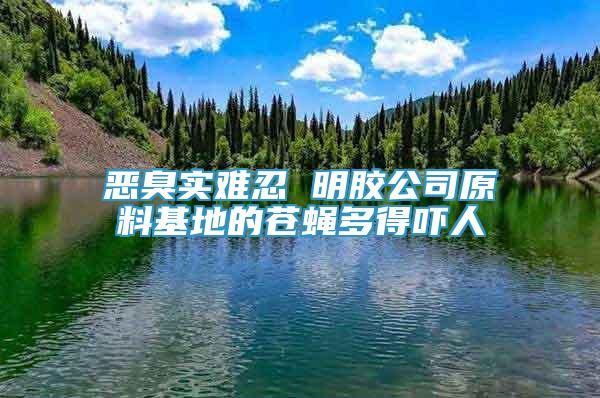 惡臭實難忍 明膠公司原料基地的蒼蠅多得嚇人