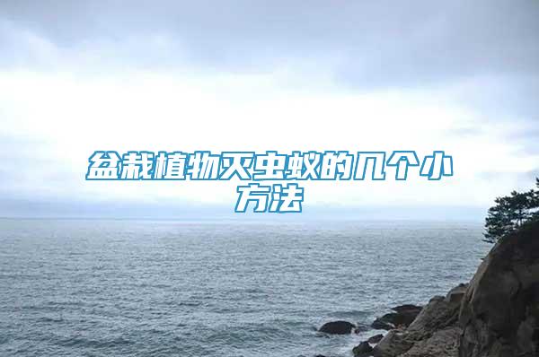 盆栽植物滅蟲蟻的幾個小方法