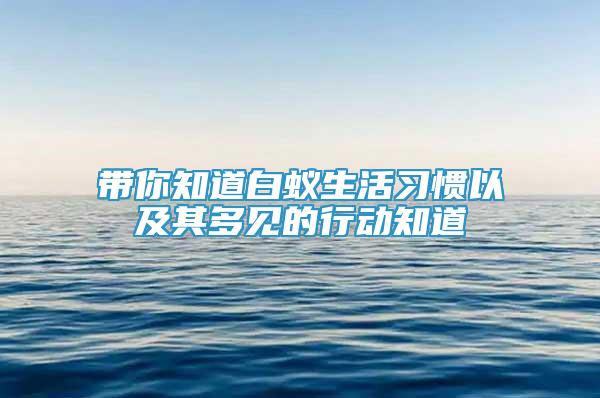 帶你知道白蟻生活習慣以及其多見的行動知道