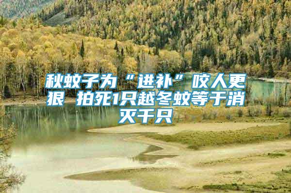 秋蚊子為“進補”咬人更狠 拍死1只越冬蚊等于消滅千只