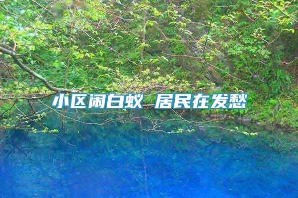 小區(qū)鬧白蟻 居民在發(fā)愁