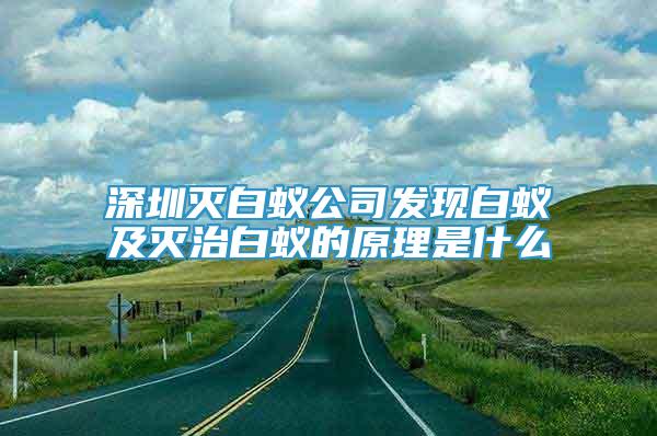 深圳滅白蟻公司發(fā)現(xiàn)白蟻及滅治白蟻的原理是什么
