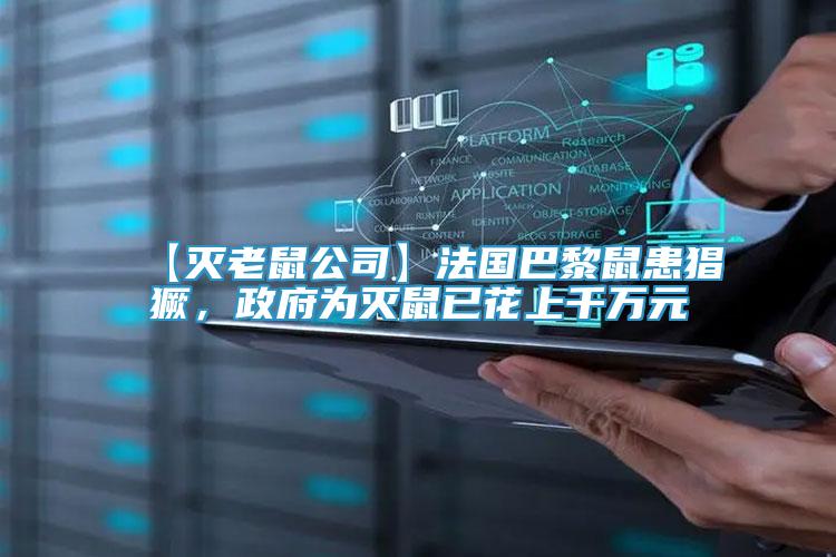【滅老鼠公司】法國巴黎鼠患猖獗，政府為滅鼠已花上千萬元