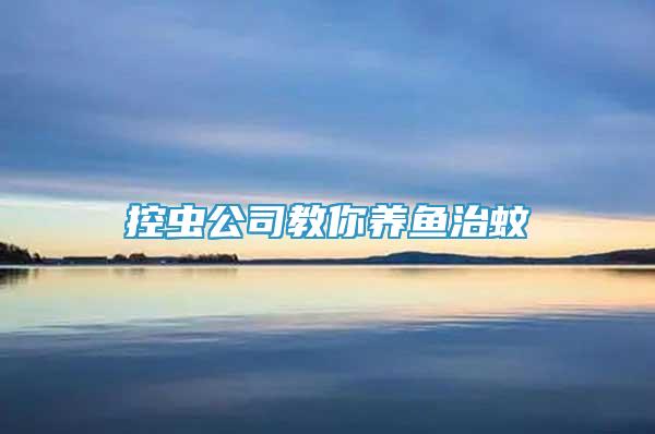 控蟲公司教你養(yǎng)魚治蚊