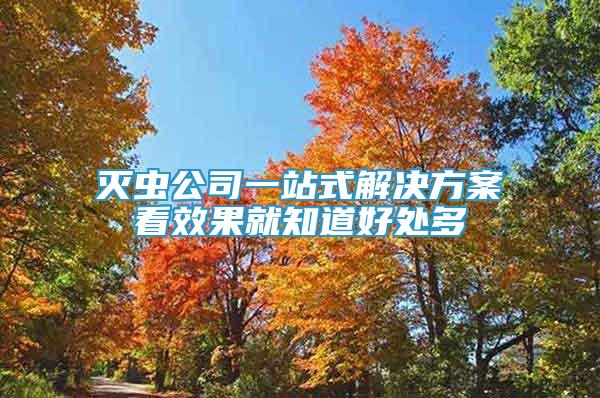 滅蟲公司一站式解決方案看效果就知道好處多