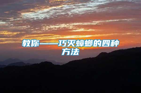 教你——巧滅蟑螂的四種方法