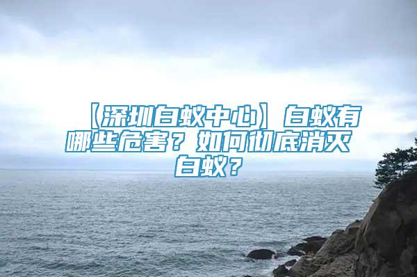 【深圳白蟻中心】白蟻有哪些危害？如何徹底消滅白蟻？