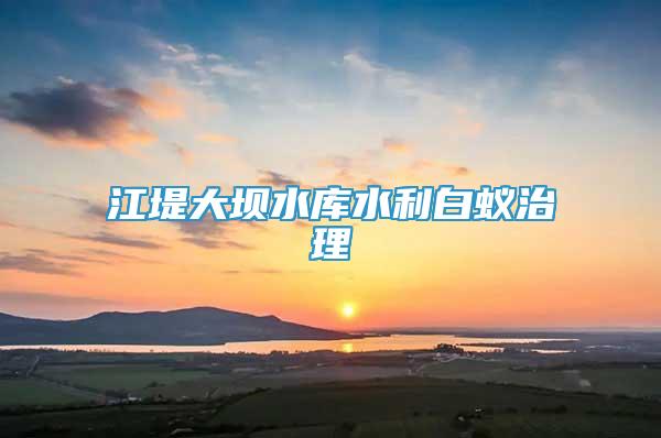 江堤大壩水庫水利白蟻治理