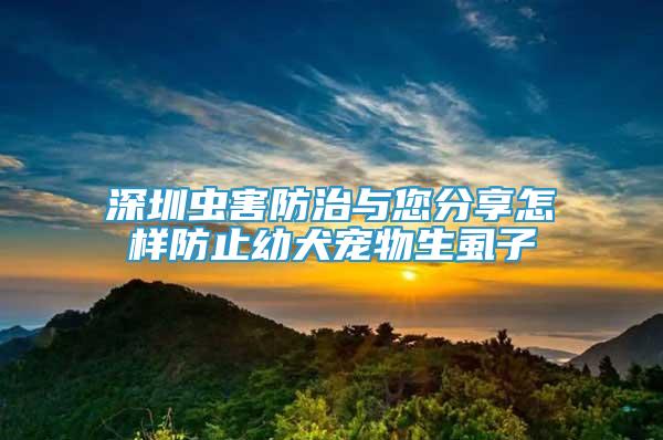 深圳蟲害防治與您分享怎樣防止幼犬寵物生虱子