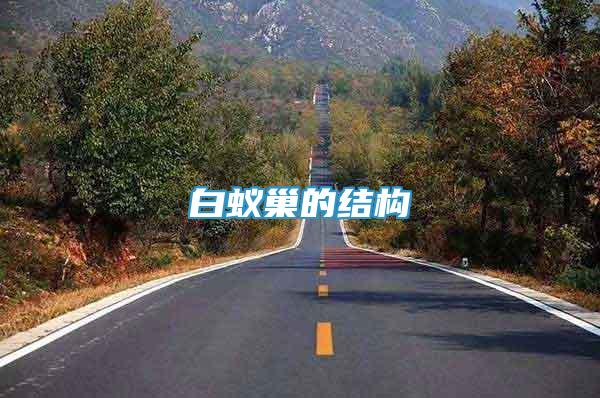 白蟻巢的結(jié)構(gòu)