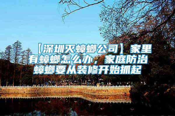 【深圳滅蟑螂公司】家里有蟑螂怎么辦，家庭防治蟑螂要從裝修開(kāi)始抓起