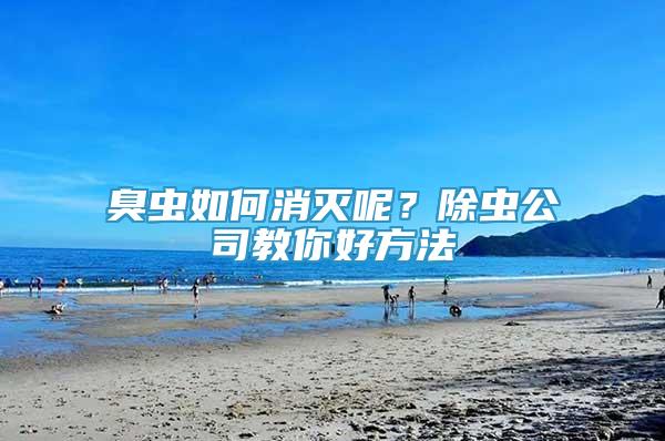 臭蟲如何消滅呢？除蟲公司教你好方法