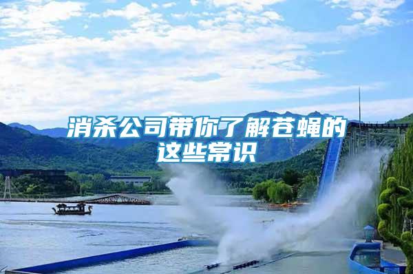 消殺公司帶你了解蒼蠅的這些常識(shí)