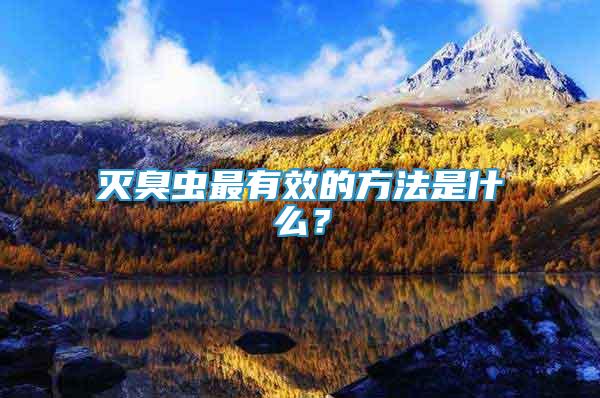 滅臭蟲最有效的方法是什么？
