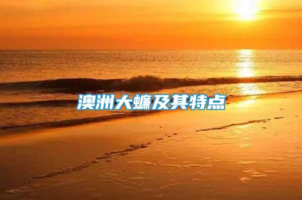 澳洲大蠊及其特點