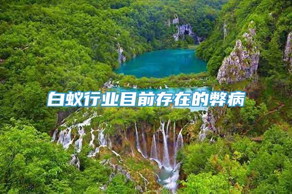 白蟻行業(yè)目前存在的弊病