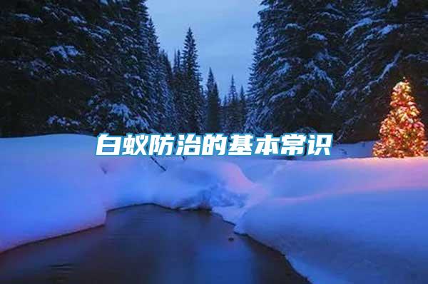白蟻防治的基本常識(shí)